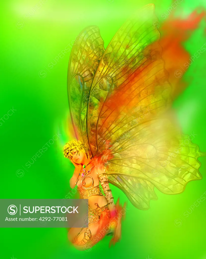 Fairy with butterfly wings