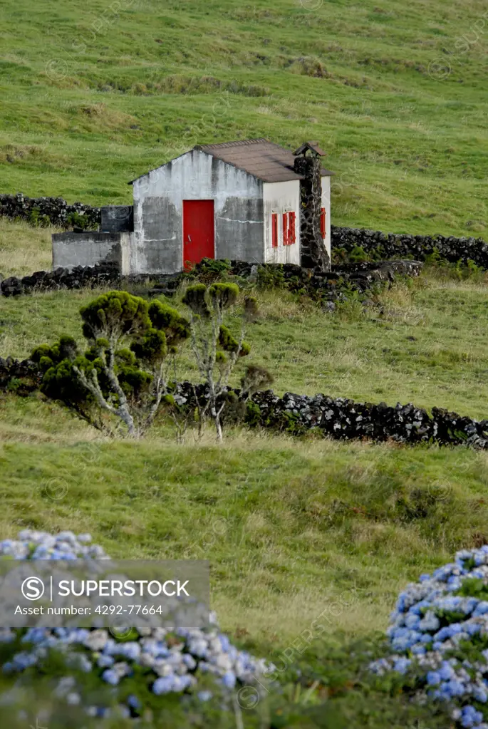 Portugal, Azores, Pico Island, farmhouse