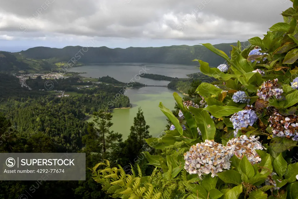 Portugal, Azores, Sao Miguel island, the crater of Lagoa Verde and Lagoa azul, in foreground hydrangea flowers