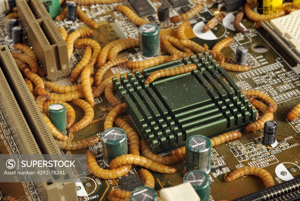 Worms on circuit board
