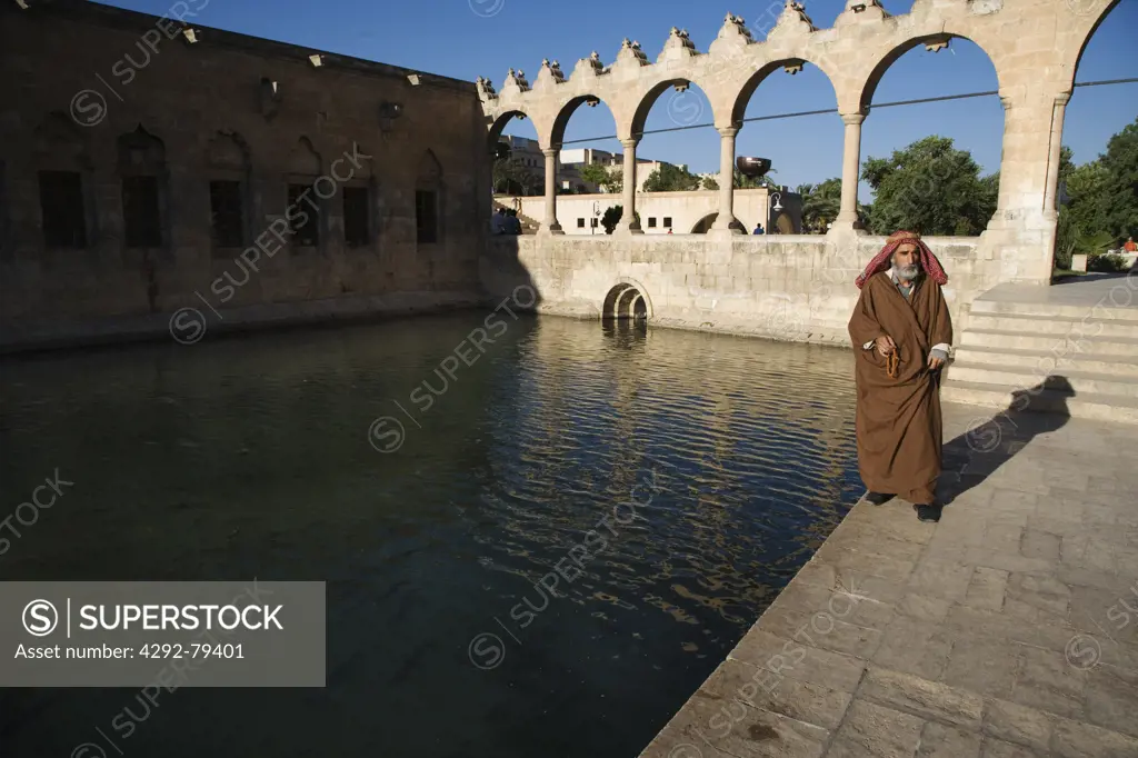 Turkey, Urfa, the holy pond at the Abrham's cave, the birthplace of the Prophet Abraham according to a legend
