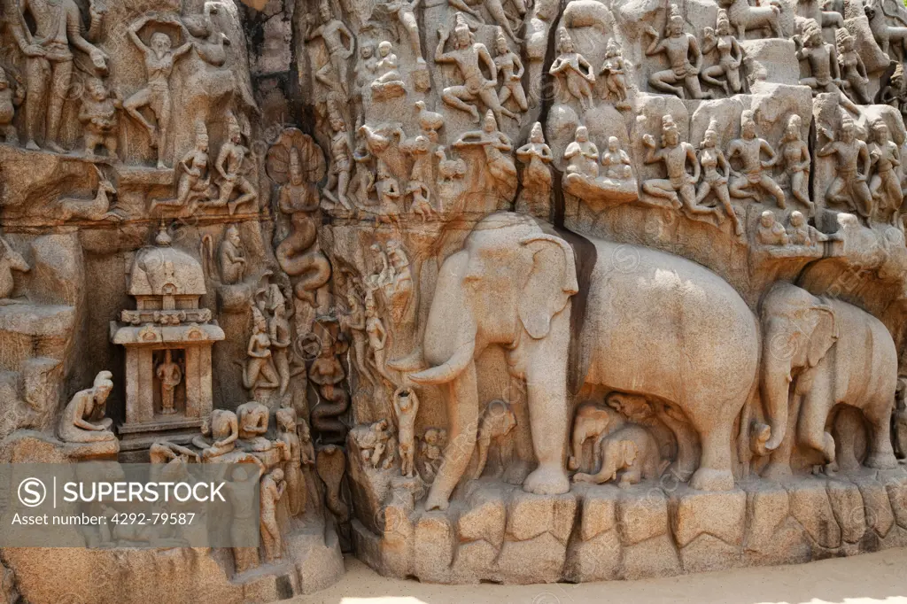 India, Tamil Nadu, Mahabalipuram, UNESCO world heritage, Details of Pallava era rock carving of Arjunas Penance featuring the waters of the Ganges