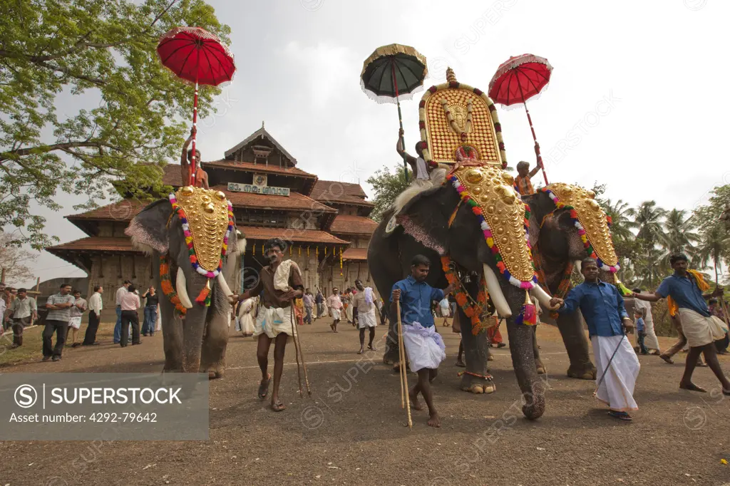 India, Kerala, Thrissur, Pooram festival, it is one of the biggest festivals in India where elephants are decorated magnificiently