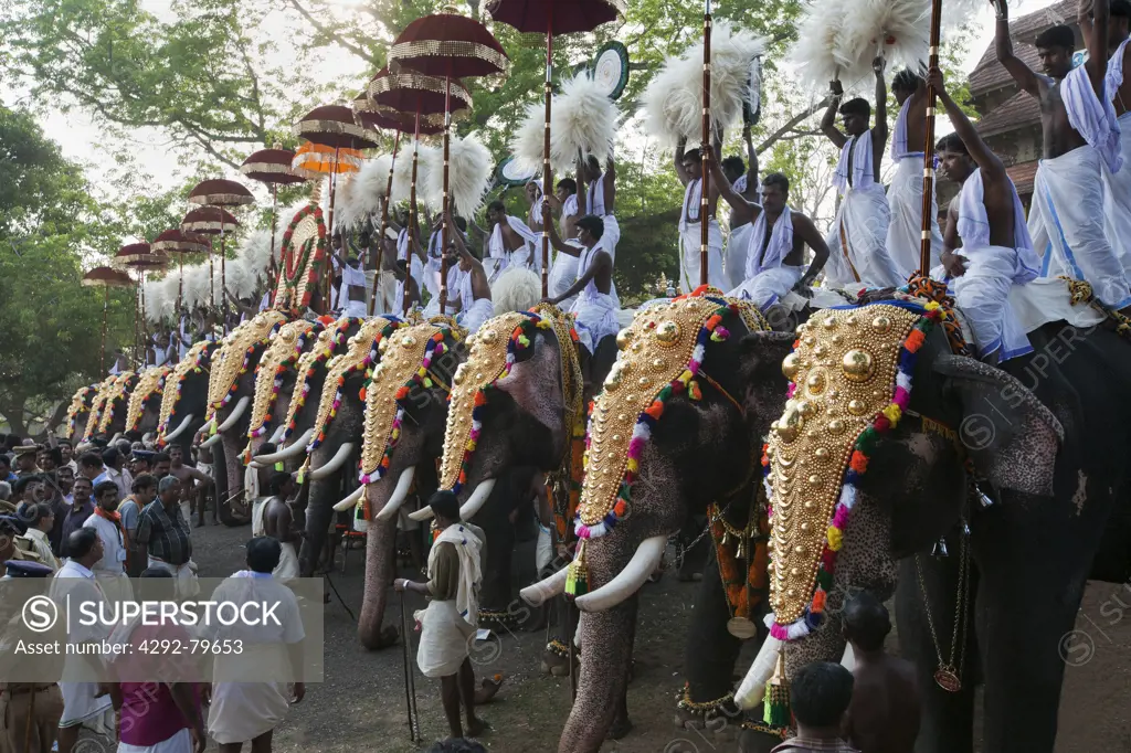 India, Kerala, Thrissur, Pooram festival, it is one of the biggest festivals in India where elephants are decorated magnificiently