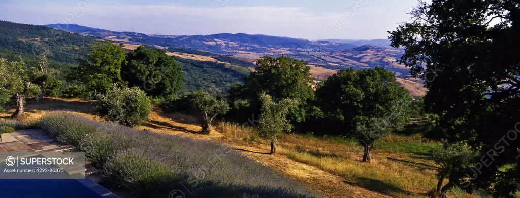 Italy, Tuscany, Val D'orcia, Landscape with Pool.