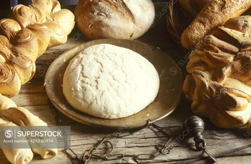 Different kinds of handmade, organic bread