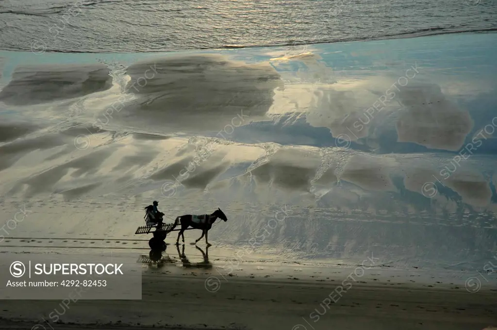 Brazil, Ceara State, Jeriocoacora, a Horse-cart along the Seashore at Sunset