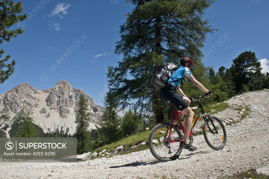 Italy, Trentino Alto Adige, Dolomite Alps, Forca di Ferro Mountain, Mountain Bike