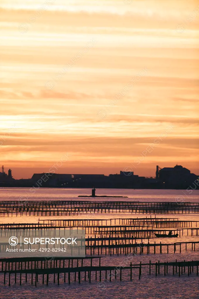France, Languedoc-Roussillon, Bouzigues, oyster farms at sunset
