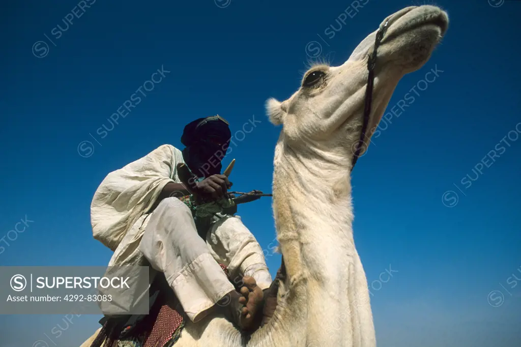 Africa, Mali, Tuareg riding dromedary
