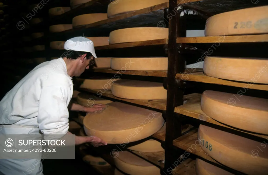 Europe, France, man in seasoning room tasting Jura cheese