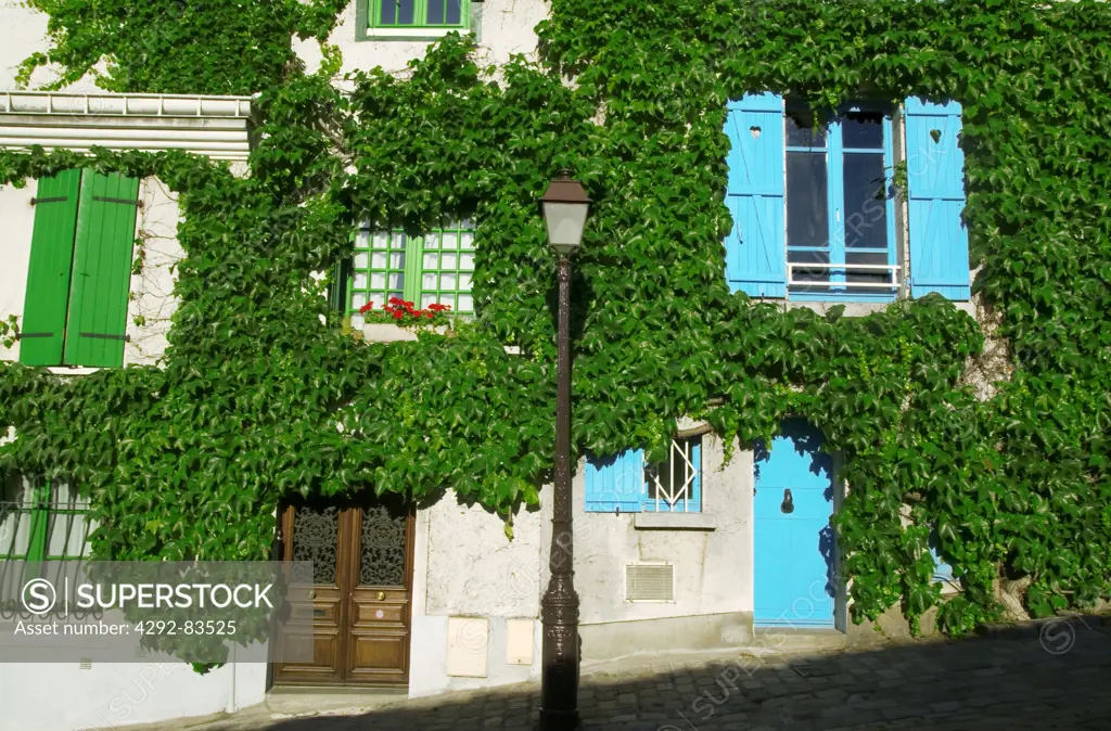France, Paris, Butte Montmartre, house facade covered in ivy