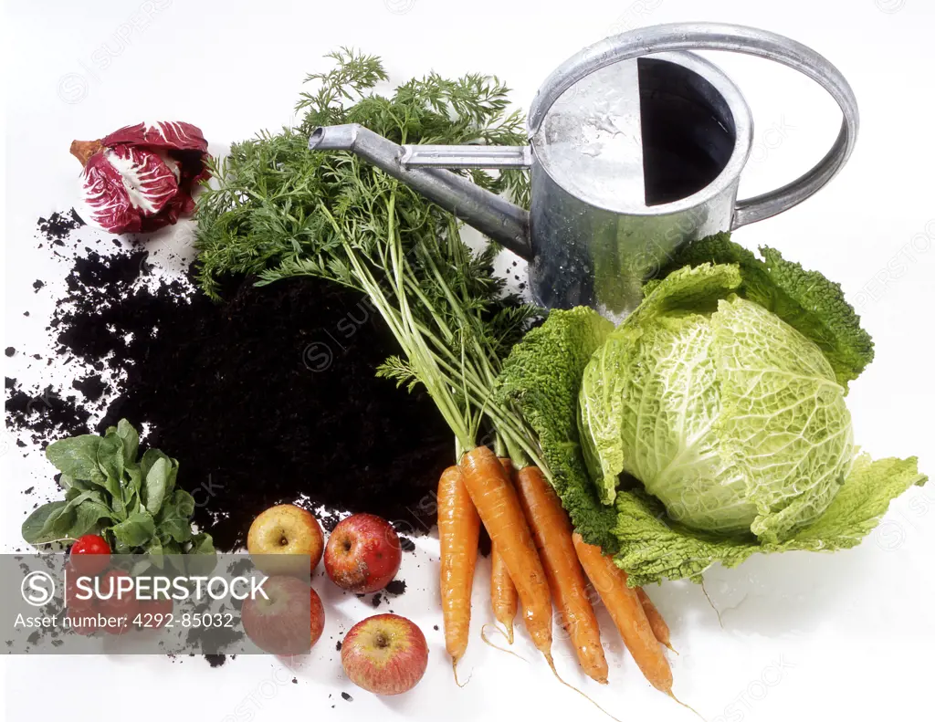 Vegetables, fruit, soil and watering can