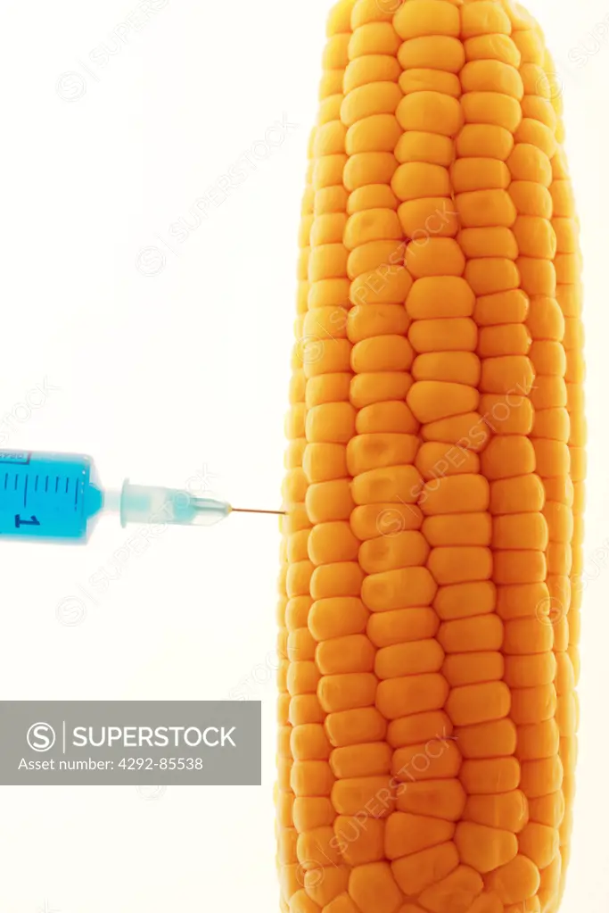 Corncob being injected with a syringe