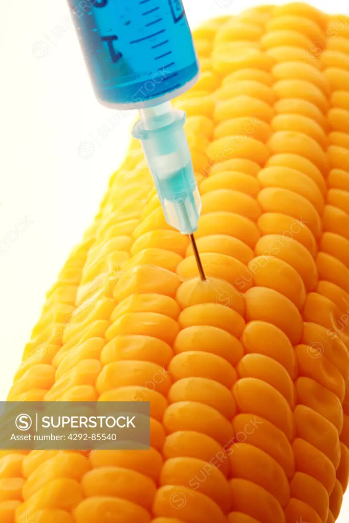 Corncob being injected with a syringe