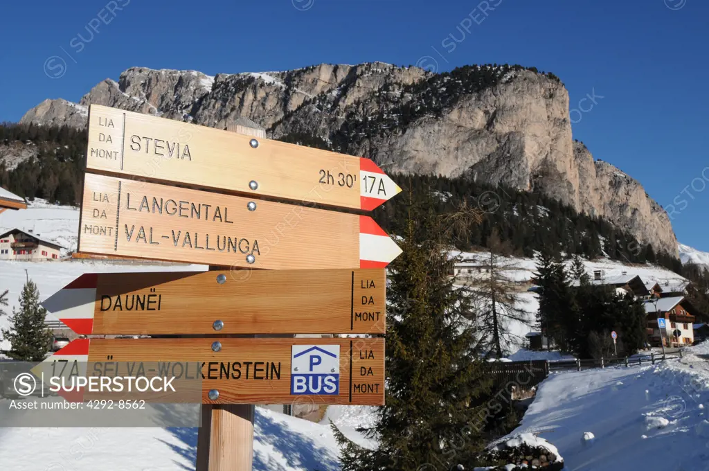 Europe , Italy , Trentino alto adige , val Gardena , Selva Val Gardena , Dolomite
