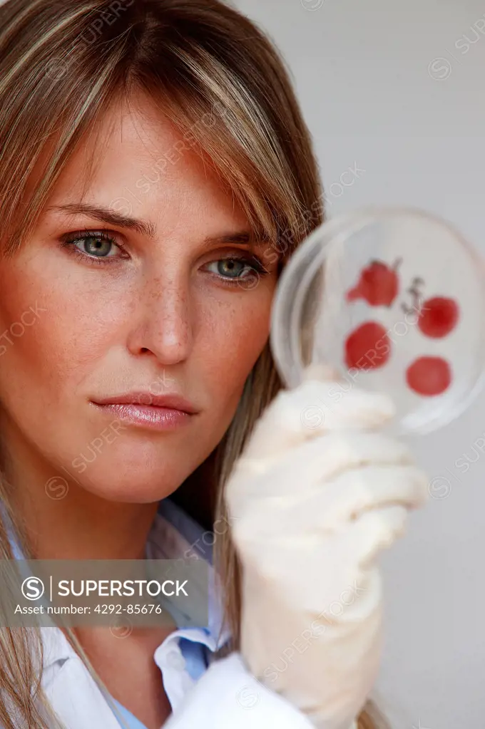 Scientist looking at petri dish