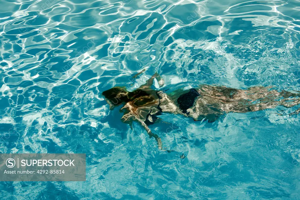 Woman in pool swimming underwater