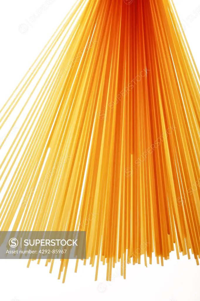 Spaghetti, still life