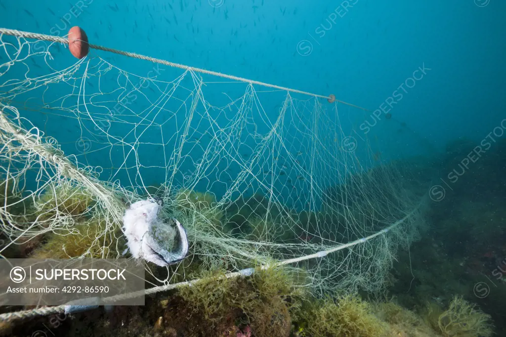 Fishing net, Mediterranean Sea