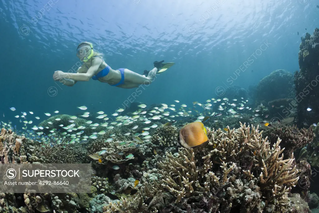 Snorkeling girl, Bali, Indian Ocean, Indonesia