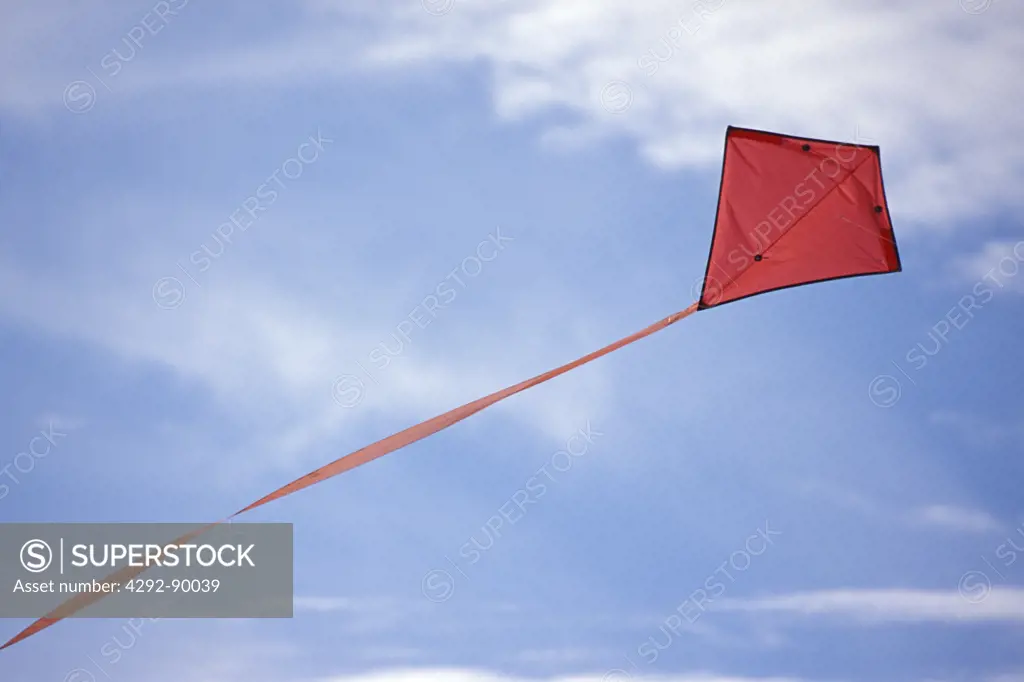Red kite flying