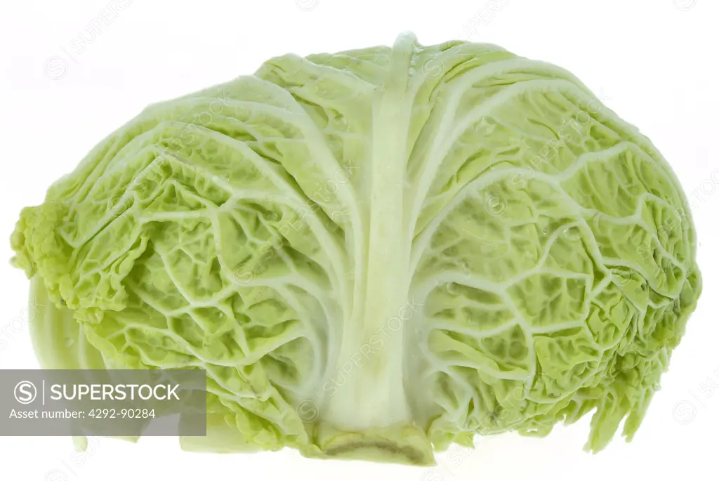 Cabbage close up