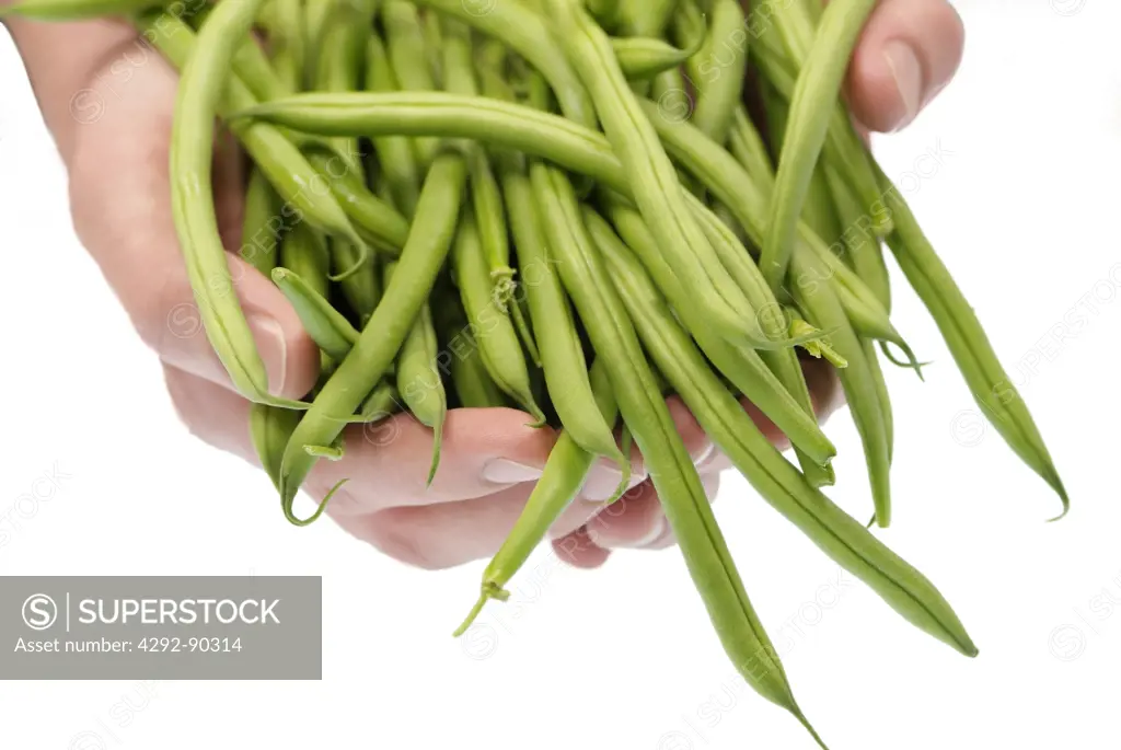 Hands holding fresh green beans