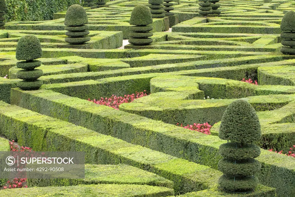 France, Indre-et-Loire, Villandry castle, garden