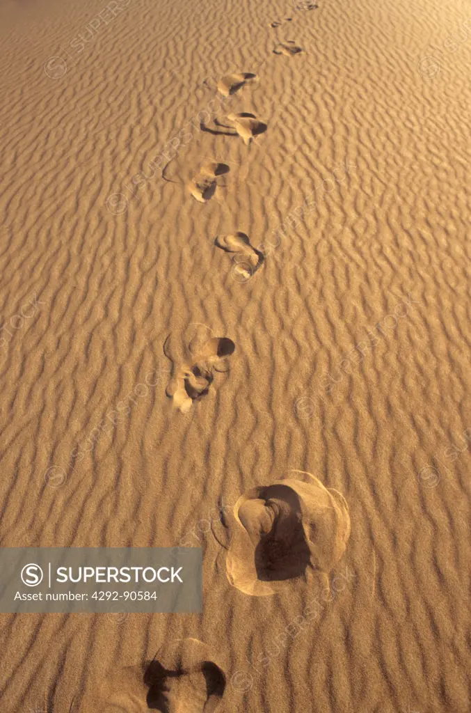 Human footprints on sand dune