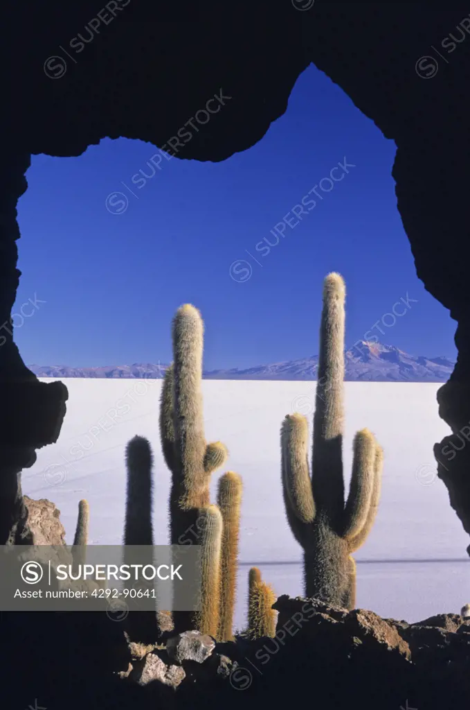 Bolivia, Salar Uyuni desert