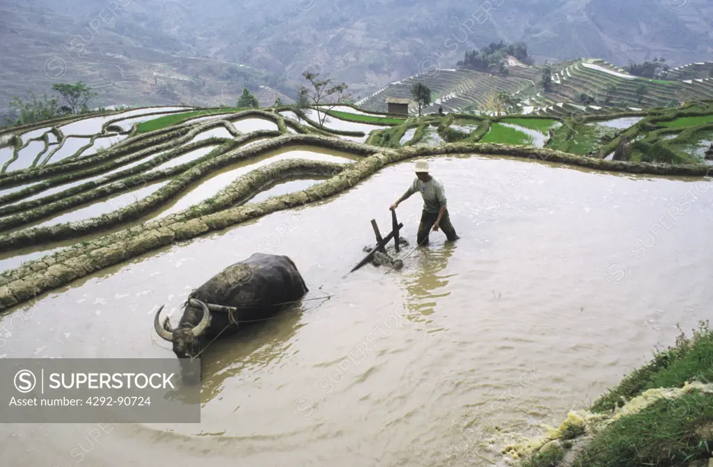 Men working rice terraces in Yunnan, China