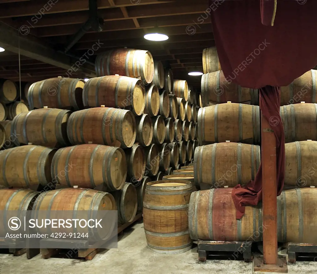 USA, California, Sonoma area vineyards, area Napa Valley, wooden barrels in a wine cellar