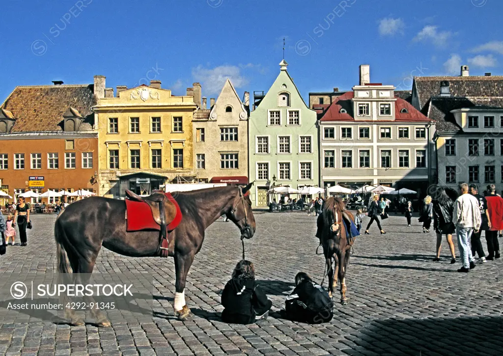 Europe, Estonia, Baltic, Tallinn,the town hall square