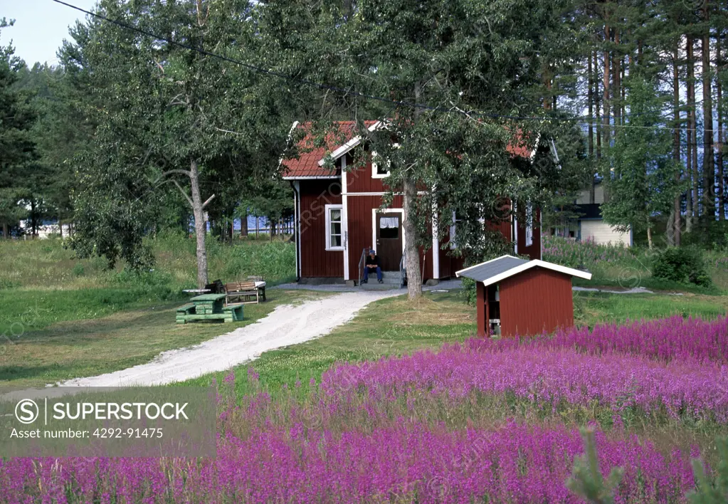 Sweden, Halsingland region, wood house