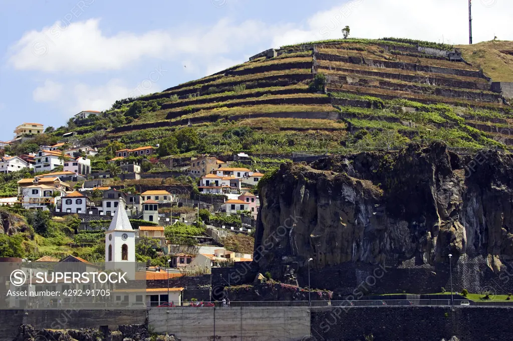 Europe, Portugal, Madeira island, Funchal area, Fishing Port