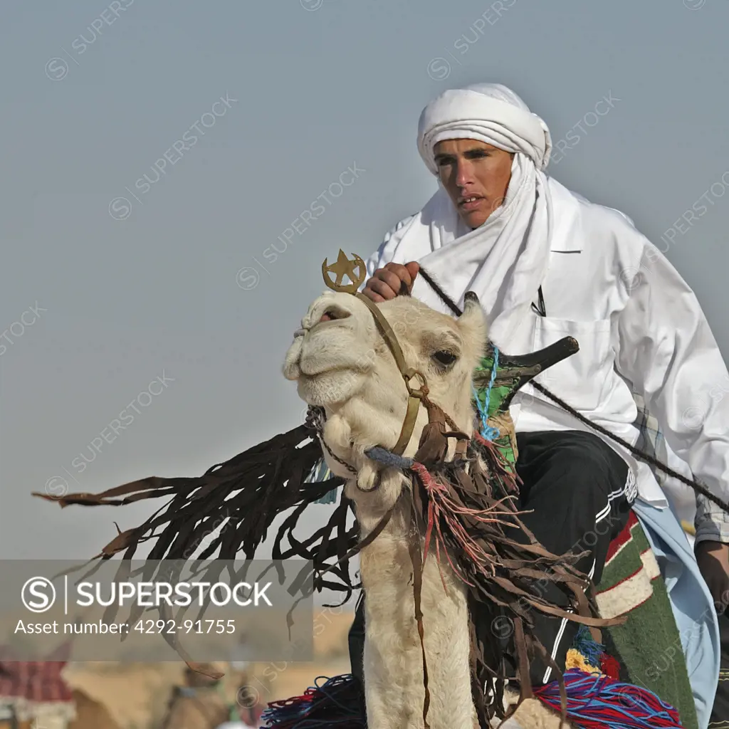 Tunisia, Douz oasis area, berber camel driver