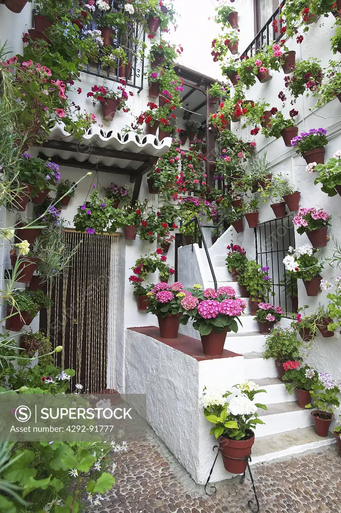 Spain, Cordoba, flowers on house balcony