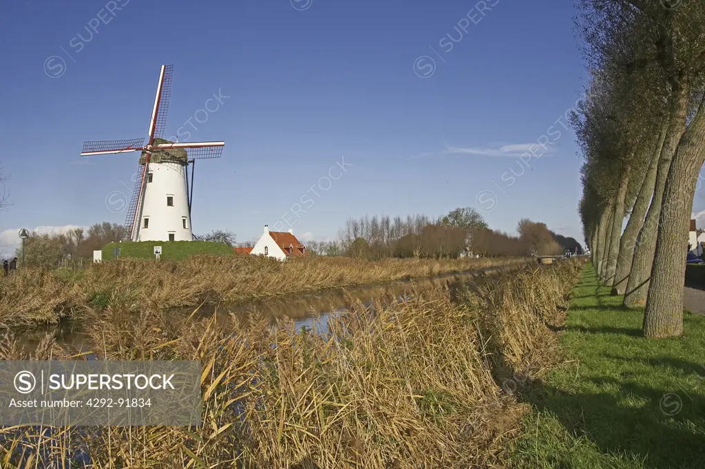 Belgium, Flanders-Western, the channel of Damme windmill ' Schellemolen ' built in 1867