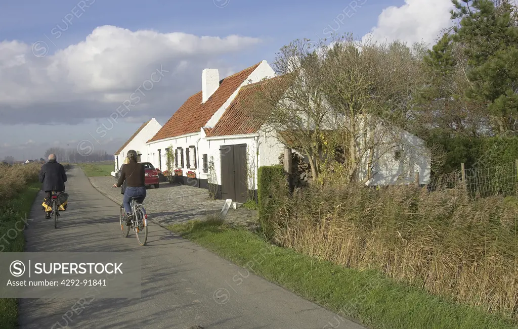 Belgium, cyclists on a road of countryside in Western Flanders, in the village of Westkapelle