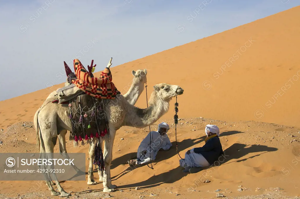 Africa, Algeria, Saoura area, Sahara desert,tuaregs with dromedary