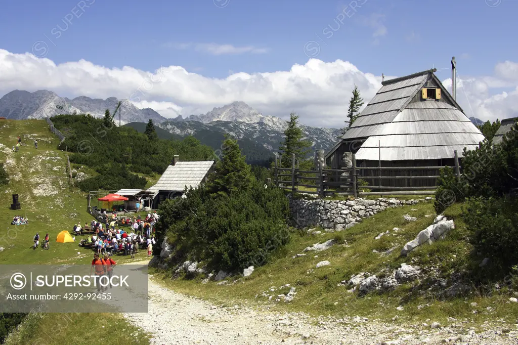 Slovenia, Gorenjska Region, Julian Alps, Velika Planina