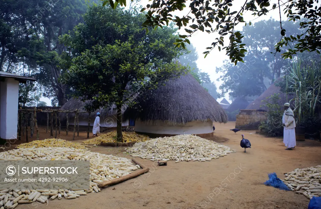 Africa, Cameroon, Adamaoua, village scene