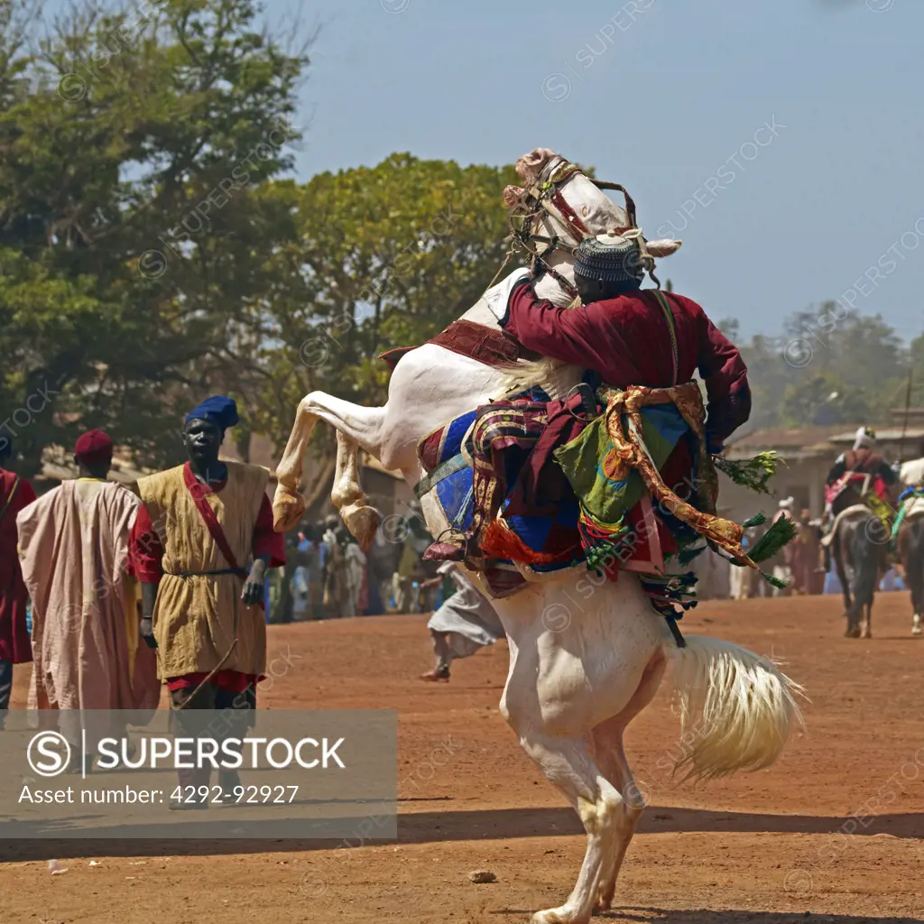 Africa, Cameroon, Adamaoua,Ngaoundere town, horse fantasia in the main street
