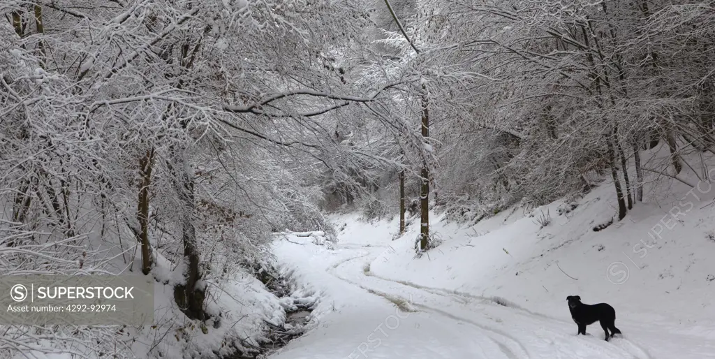 Belgium, winter scene