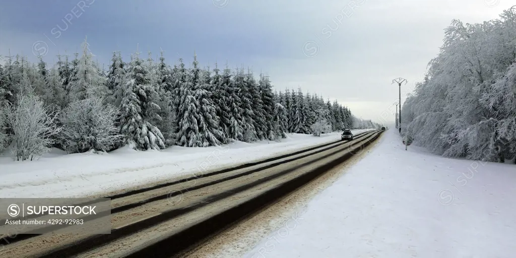 Belgium, road in the forest in winter
