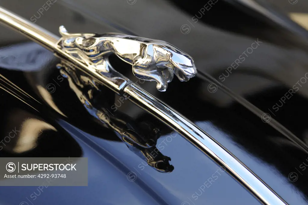 Jaguar Vintace Car, Hood Ornament.