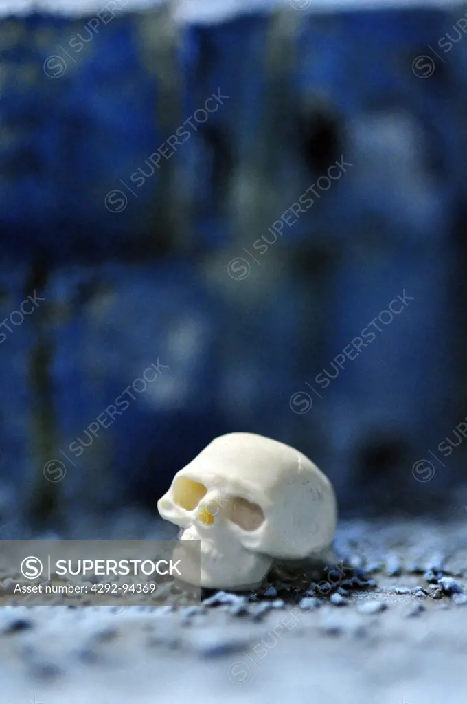 Close up of human skull toy