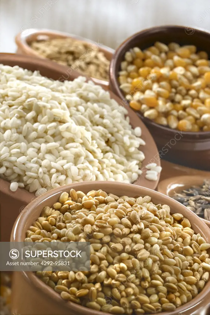 Wheat, rice, oat, corn and spelt