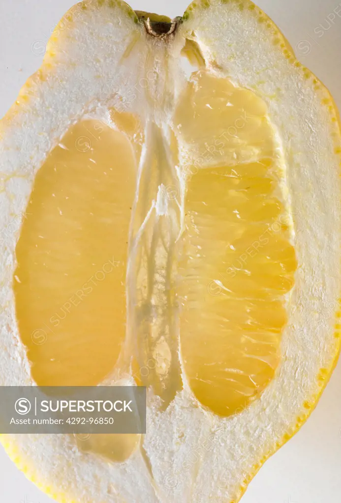 Citron close up